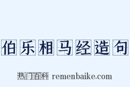 伯乐相马经造句是什么意思的图片